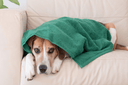 Organic Linen Towel